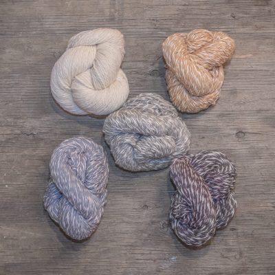 IMG_4214-2 - kc15 IMG_4214-2 - kc15