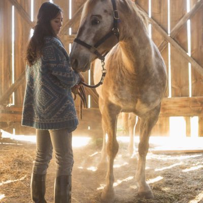 109BA Arrowhead Cardigan - Copy