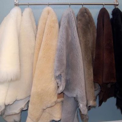 shearling lineup (1)