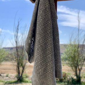 PC180 Bountiful Blessings Blanket Pattern Download