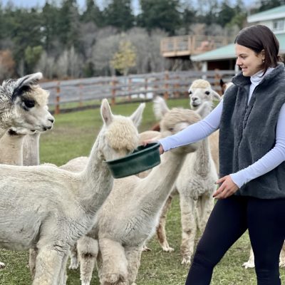 Lucie in the field alpaca pile