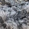 merino wool