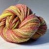 Denali Charmed
