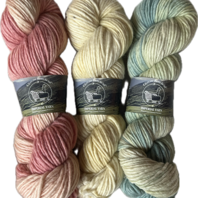 Saddle Peak Group 1 Saddle Peak Group 1