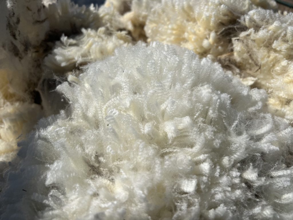 merino wool